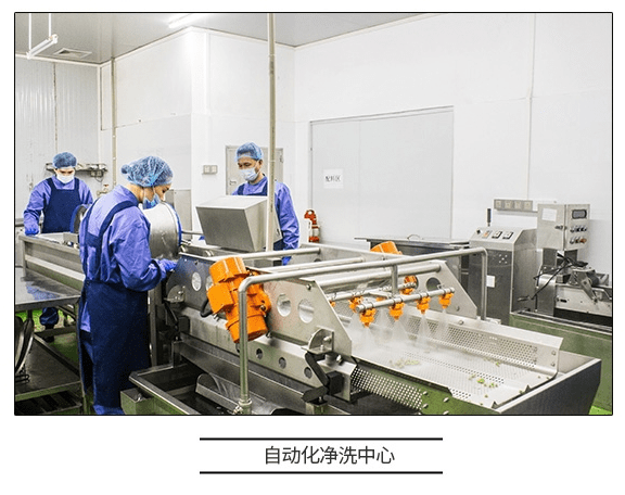 直擊工廠溯源 咚吃如何以科技賦能，保障食品安全新高度