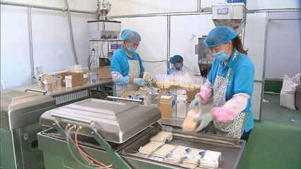 河北 提升產(chǎn)地初加工水平，助力農(nóng)產(chǎn)品提質(zhì)增效與優(yōu)價(jià)
